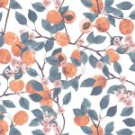 MDS63901 Blossoming Apricots