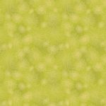 FE-524 Kiwi - Image 2