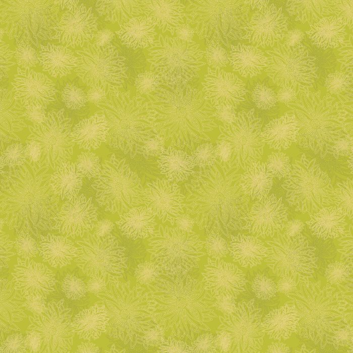 FE-524 Kiwi - Image 2