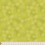 FE-524 Kiwi - Image 3