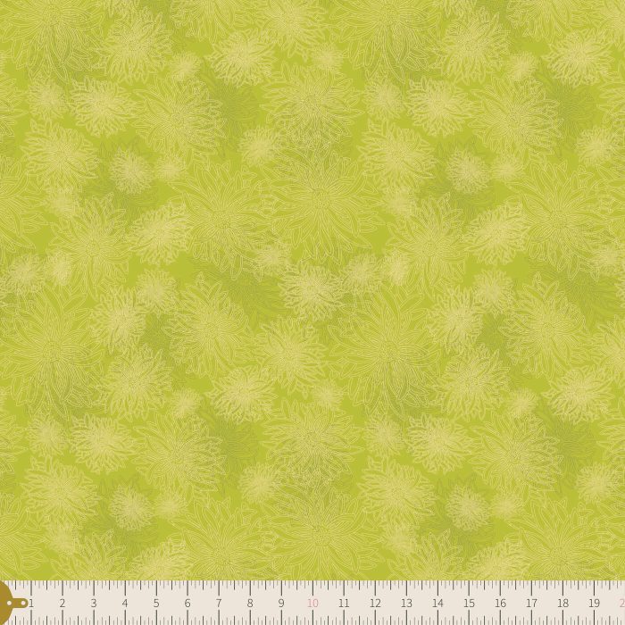 FE-524 Kiwi - Image 3