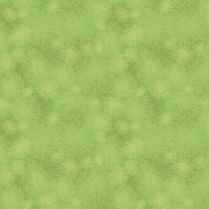 FE-527 Lettuce - Image 2