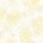 FE-533 Winter Wheat