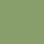PE-542 Asparagus