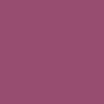 PE-558 Bougainvillea