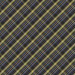 CTT-36704 Better in Plaid Night - Image 2