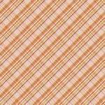 a close up of a plaid
