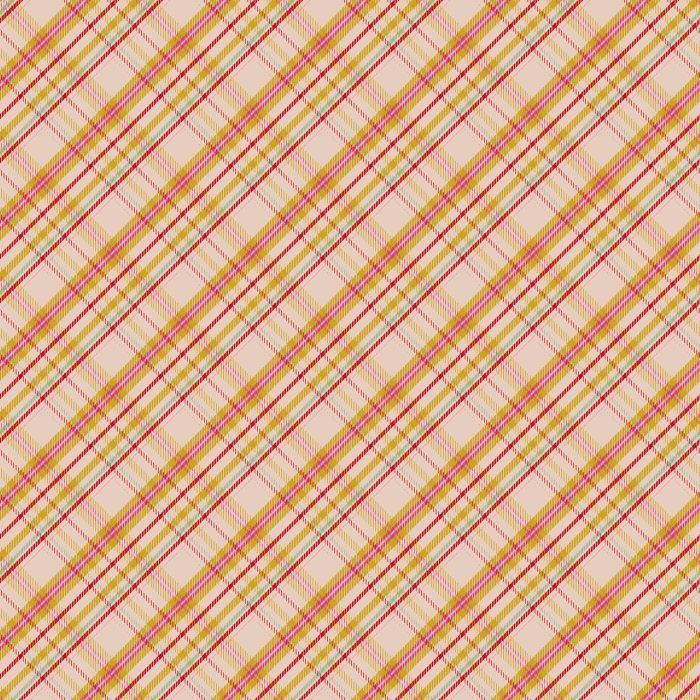a close up of a plaid