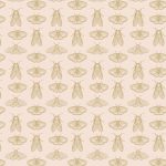 SPE68303 Emerging Wings Frost