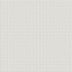 CAP-MV-11712 Fortissimo - Image 2