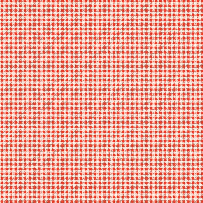 CCA-258913 Checkered Charm - Image 2