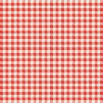 CCA-258913 Checkered Charm
