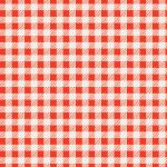 F-258913a Checkered Charm - Image 2