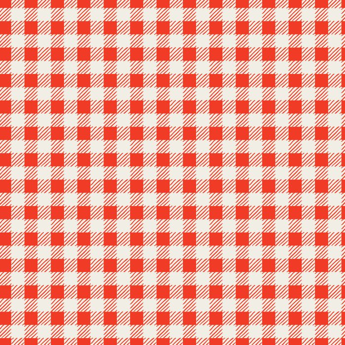 F-258913a Checkered Charm - Image 2