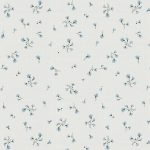 FLR-43504 Fiordalisi di Venere