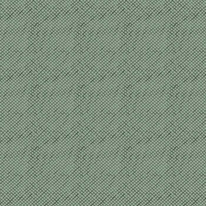 MAV-77806 Twinkling Ruit Sage - Image 2