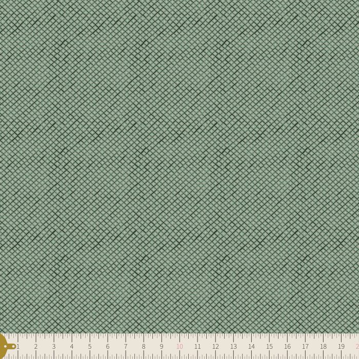 MAV-77806 Twinkling Ruit Sage - Image 3