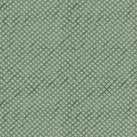 MAV-77806 Twinkling Ruit Sage