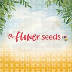 The Flower Seeds - Full Collection 15 Yards