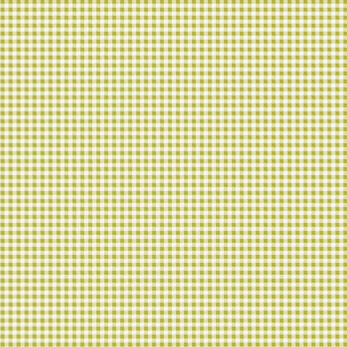 CTG-77110 Checkered Charm Sprout - Image 2