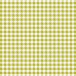 CTG-77110 Checkered Charm Sprout