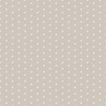 FUS-MN-2902 Tiny Moon Mineral