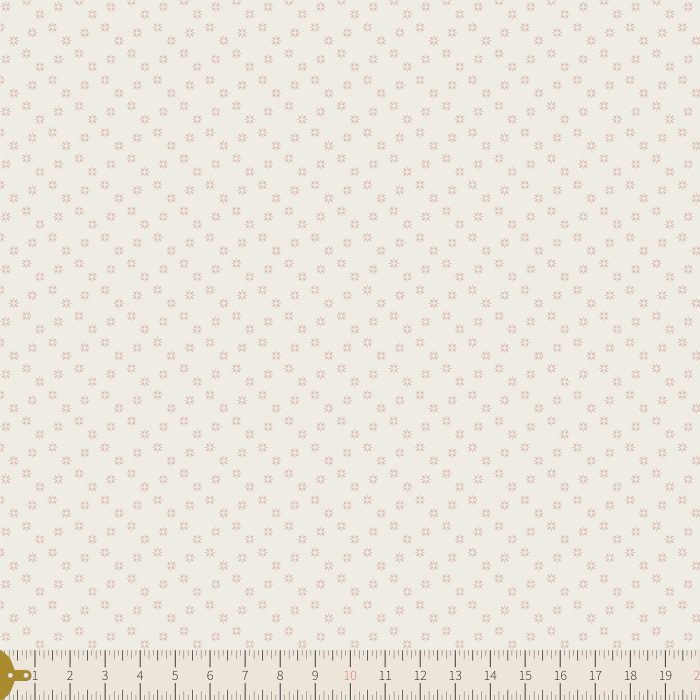 TBW-65603 Bright Star Ray - Image 3