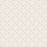 TBW-65603 Bright Star Ray