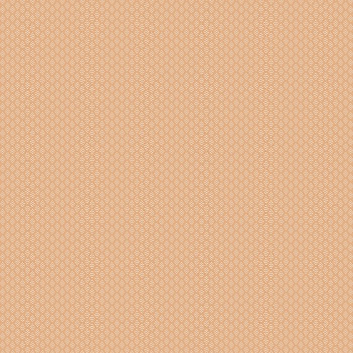 TBW-65609 Arrowhead Quartz - Image 2