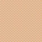 TBW-65609 Arrowhead Quartz