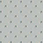 TBW-65611 Little Jewel Star Valley