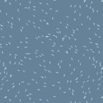 EAR-33951 Migration North
