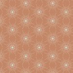 ENV-61786 North Star Shine