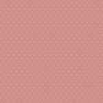 ENV-71781 Nautique Spell Blush - Image 2