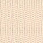 FUS-NE-2404 Royal Arcade Nectarine