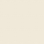 FUS-NE-2405 Faint Charms Nectarine - Image 2