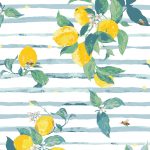 K-32772a Limoni Righe in Knit