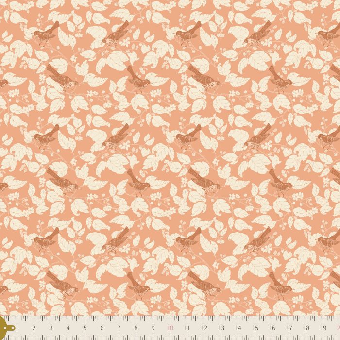 WFG-77612 Blackberries Thrush Apricot - Image 3