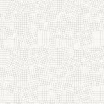 CAP-RV-8008 Phonographic Grids - Image 2