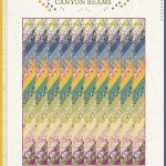 Canyon Beams Free Quilt Pattern