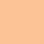 TAN-69906 Zesty Wedges Tang - Image 2