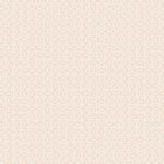 TAN-69912 Zesty Wedges Raw