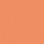 ENW-49401 Witchbone Cider - Image 2