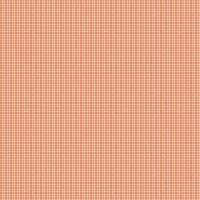 FWA-21705 Cozy Gingham Birch - Image 2
