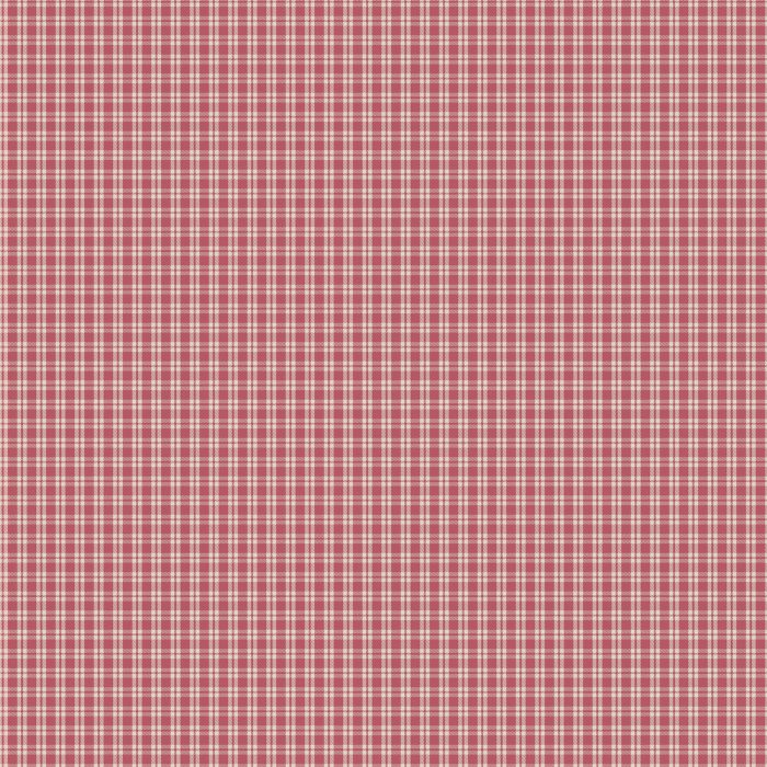 FWA-31705 Cozy Gingham Sugar - Image 2