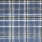 F-12801 Check Plaid After the Rain