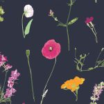 LAH-16809 Petal Picking Dense