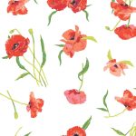 FSH-27401 Poppy Reflections