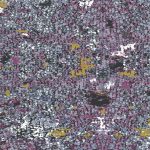 GRI-40402 Wing Magnified Mauve