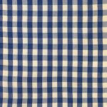 PWOV2-6011 Gingham in Seaside